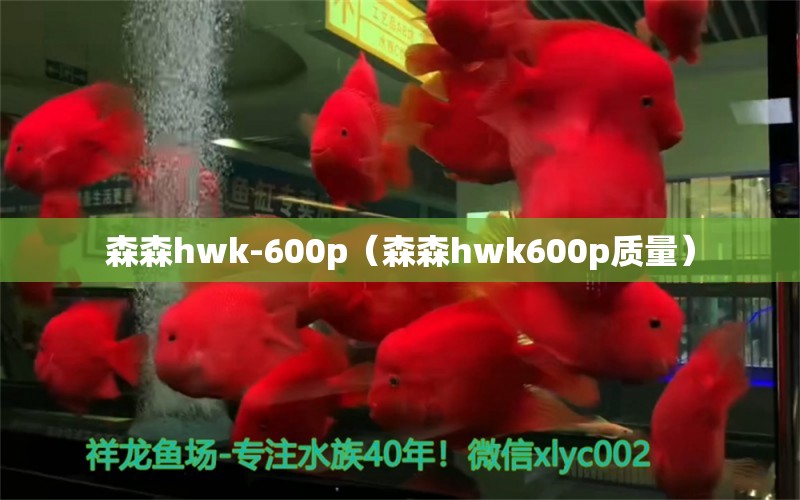 森森h(huán)wk-600p（森森h(huán)wk600p質(zhì)量）