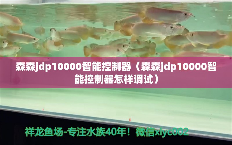 森森jdp10000智能控制器（森森jdp10000智能控制器怎樣調(diào)試）