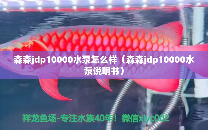 森森jdp10000水泵怎么樣（森森jdp10000水泵說明書）