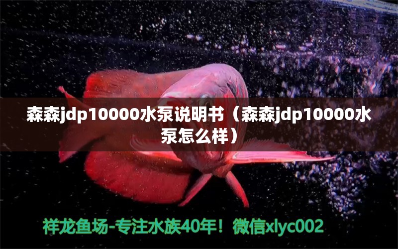 森森jdp10000水泵說(shuō)明書(shū)（森森jdp10000水泵怎么樣）