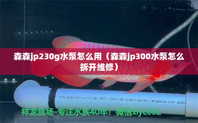 森森jp230g水泵怎么用（森森jp300水泵怎么拆開(kāi)維修）