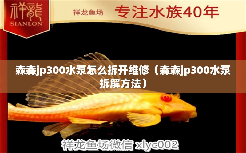 森森jp300水泵怎么拆開(kāi)維修（森森jp300水泵拆解方法）