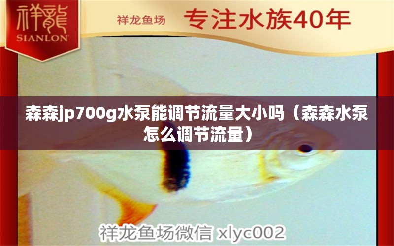 森森jp700g水泵能調(diào)節(jié)流量大小嗎（森森水泵怎么調(diào)節(jié)流量）