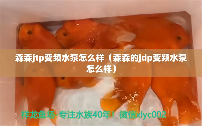 森森jtp變頻水泵怎么樣（森森的jdp變頻水泵怎么樣） 過濾設(shè)備