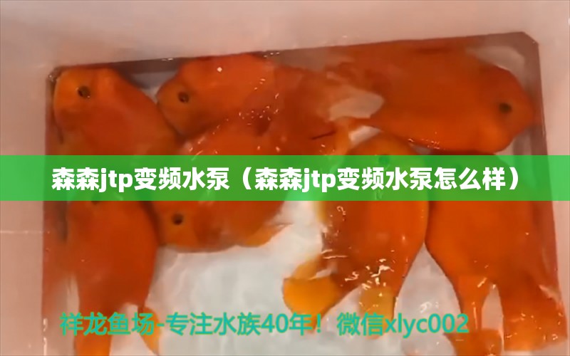 森森jtp變頻水泵（森森jtp變頻水泵怎么樣）