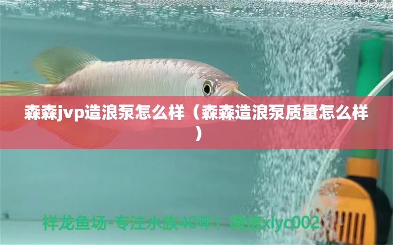 森森jvp造浪泵怎么樣（森森造浪泵質(zhì)量怎么樣） 森森魚缸