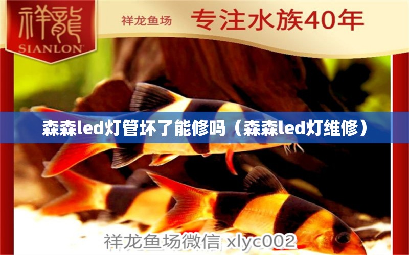 森森led燈管壞了能修嗎（森森led燈維修）