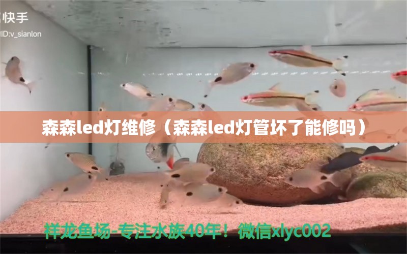 森森led燈維修（森森led燈管壞了能修嗎）