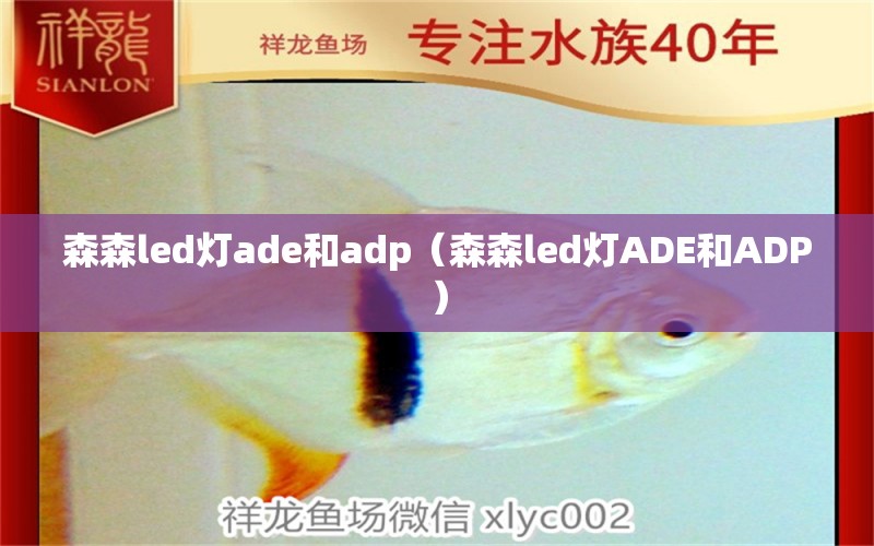 森森led燈ade和adp（森森led燈ADE和ADP）