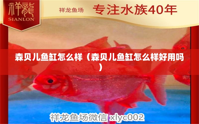 森貝兒魚缸怎么樣（森貝兒魚缸怎么樣好用嗎）