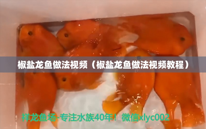 椒鹽龍魚做法視頻（椒鹽龍魚做法視頻教程）