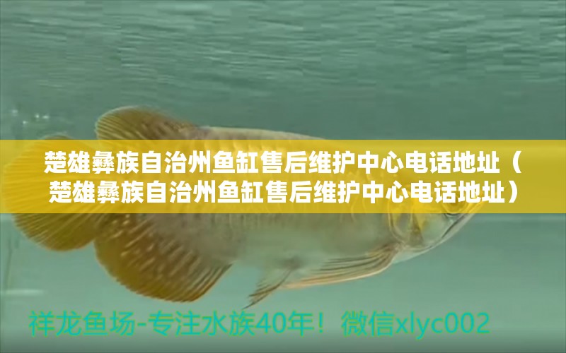 楚雄彝族自治州魚缸售后維護(hù)中心電話地址（楚雄彝族自治州魚缸售后維護(hù)中心電話地址） 其他品牌魚缸