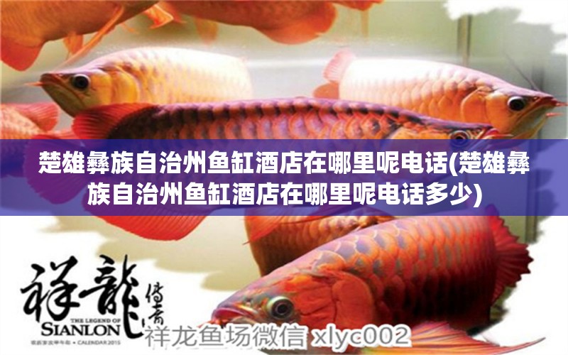 楚雄彝族自治州魚缸酒店在哪里呢電話(楚雄彝族自治州魚缸酒店在哪里呢電話多少) 肥料