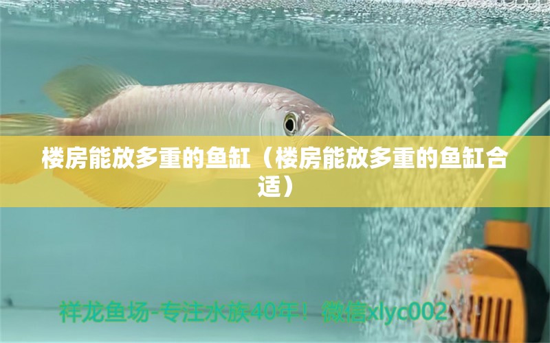 樓房能放多重的魚缸（樓房能放多重的魚缸合適）