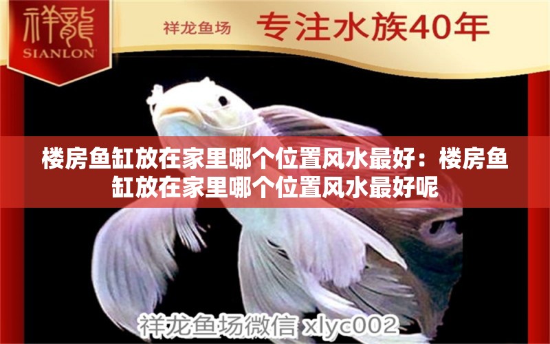 樓房魚缸放在家里哪個位置風(fēng)水最好：樓房魚缸放在家里哪個位置風(fēng)水最好呢 魚缸風(fēng)水