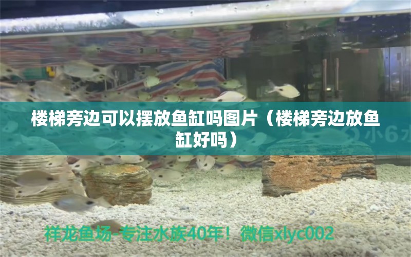 樓梯旁邊可以擺放魚缸嗎圖片（樓梯旁邊放魚缸好嗎）