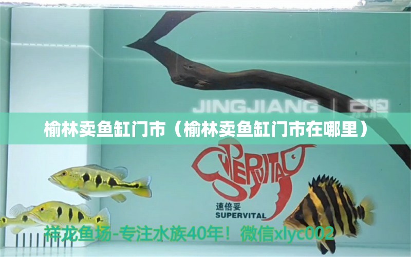 榆林賣魚缸門市（榆林賣魚缸門市在哪里） 其他品牌魚缸