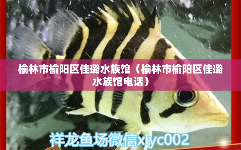 榆林市榆陽區(qū)佳璐水族館（榆林市榆陽區(qū)佳璐水族館電話）