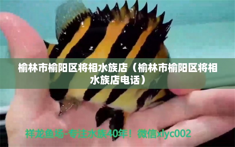 榆林市榆陽(yáng)區(qū)將相水族店（榆林市榆陽(yáng)區(qū)將相水族店電話）