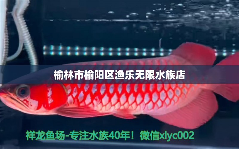 榆林市榆陽(yáng)區(qū)漁樂(lè)無(wú)限水族店 全國(guó)水族館企業(yè)名錄