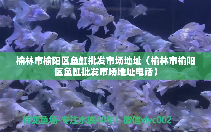 榆林市榆陽區(qū)魚缸批發(fā)市場地址（榆林市榆陽區(qū)魚缸批發(fā)市場地址電話） 其他品牌魚缸