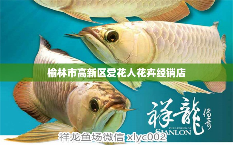 榆林市高新區(qū)愛花人花卉經(jīng)銷店 全國水族館企業(yè)名錄