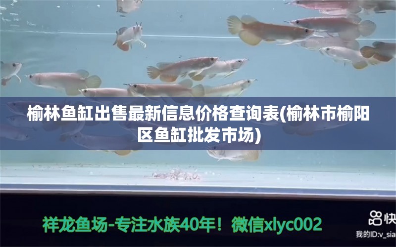 榆林魚缸出售最新信息價(jià)格查詢表(榆林市榆陽區(qū)魚缸批發(fā)市場) 稀有金龍魚 第1張