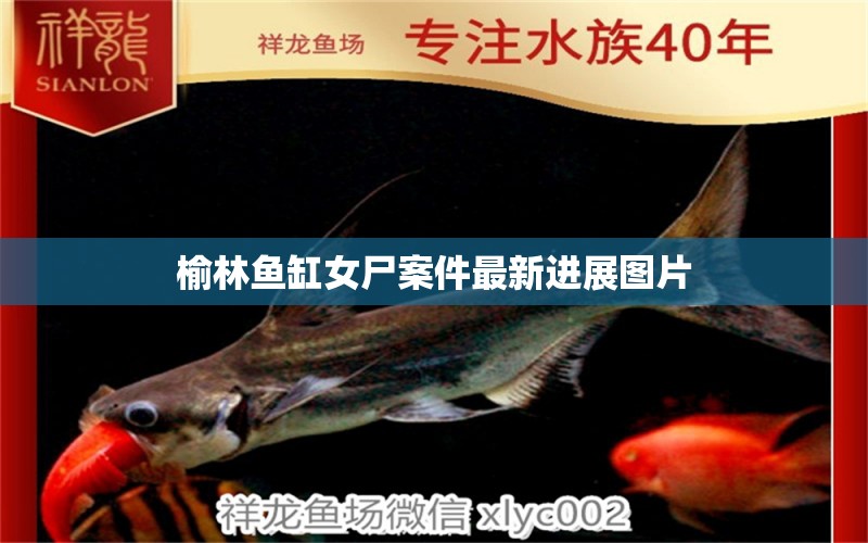 榆林魚(yú)缸女尸案件最新進(jìn)展圖片