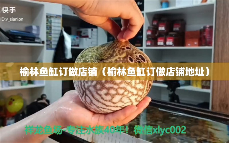 榆林魚(yú)缸訂做店鋪（榆林魚(yú)缸訂做店鋪地址）