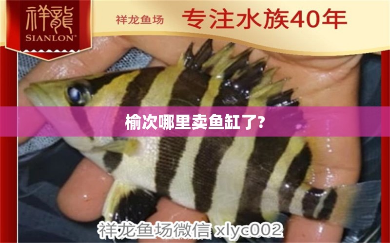 榆次哪里賣魚缸了?