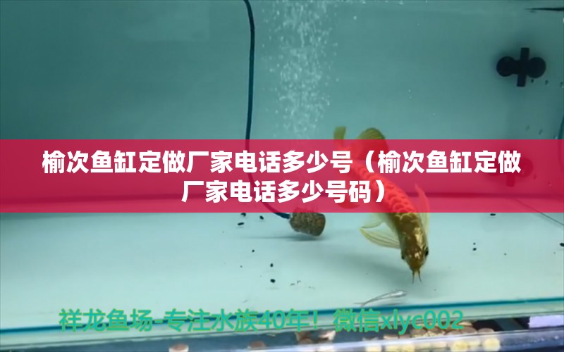 榆次魚缸定做廠家電話多少號(hào)（榆次魚缸定做廠家電話多少號(hào)碼） 祥龍水族醫(yī)院