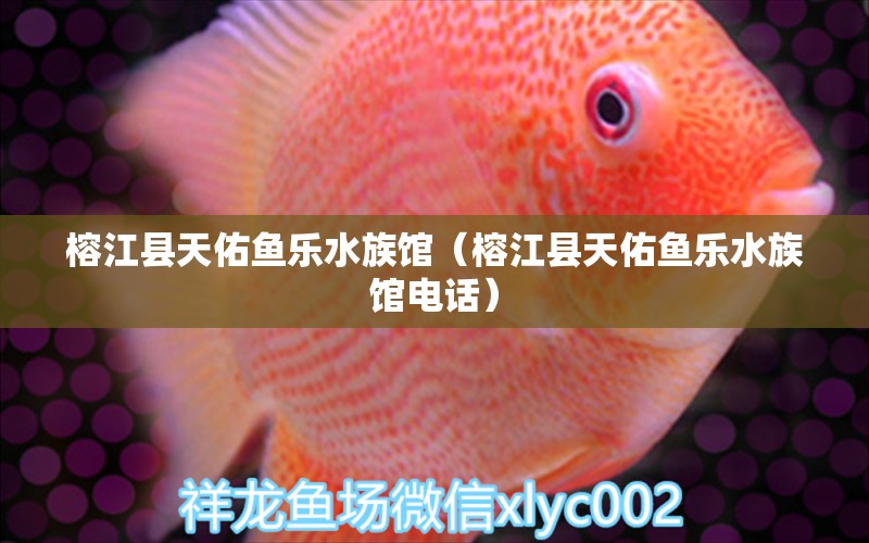 榕江縣天佑魚樂(lè)水族館（榕江縣天佑魚樂(lè)水族館電話） 全國(guó)水族館企業(yè)名錄