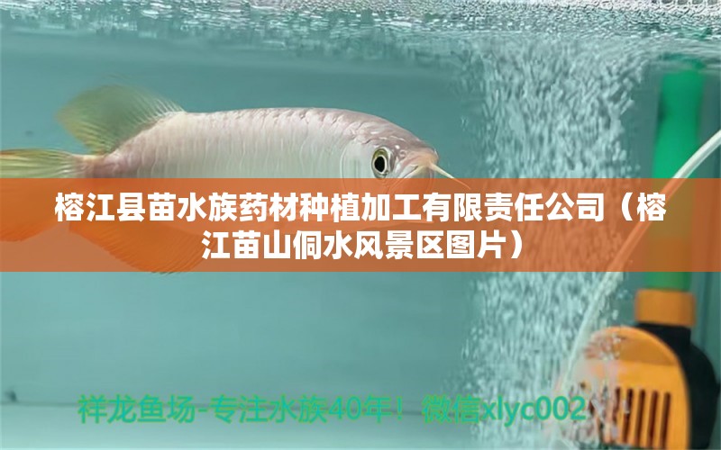 榕江縣苗水族藥材種植加工有限責任公司（榕江苗山侗水風景區(qū)圖片）