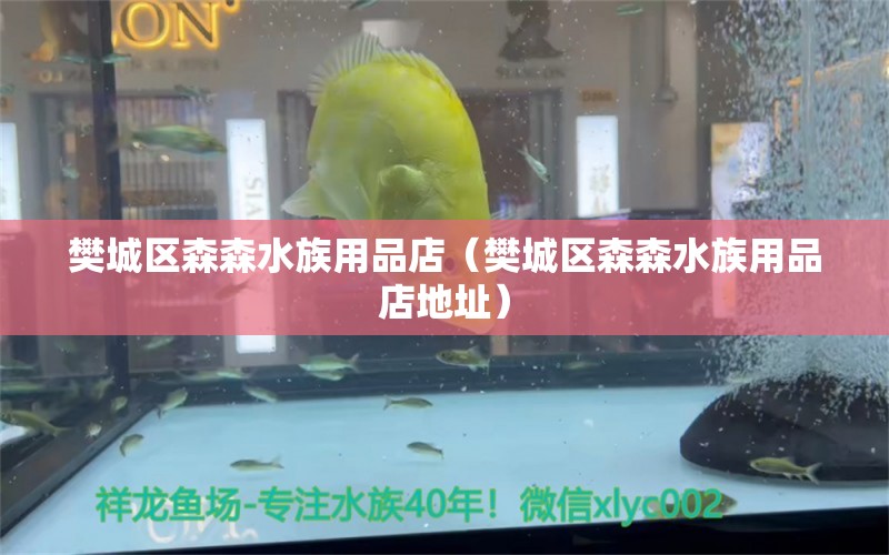 樊城區(qū)森森水族用品店（樊城區(qū)森森水族用品店地址）