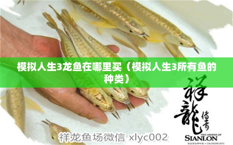 模擬人生3龍魚在哪里買（模擬人生3所有魚的種類） 觀賞魚批發(fā)