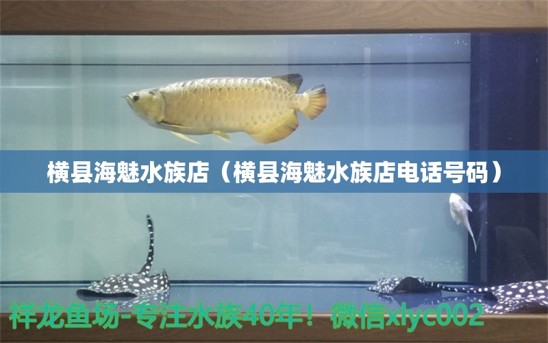 橫縣海魅水族店（橫縣海魅水族店電話號碼） 全國水族館企業(yè)名錄