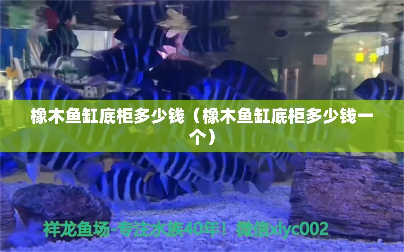 橡木魚缸底柜多少錢（橡木魚缸底柜多少錢一個）