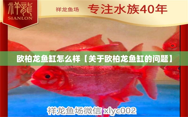 歐柏龍魚(yú)缸怎么樣【關(guān)于歐柏龍魚(yú)缸的問(wèn)題】 水族問(wèn)答 第1張