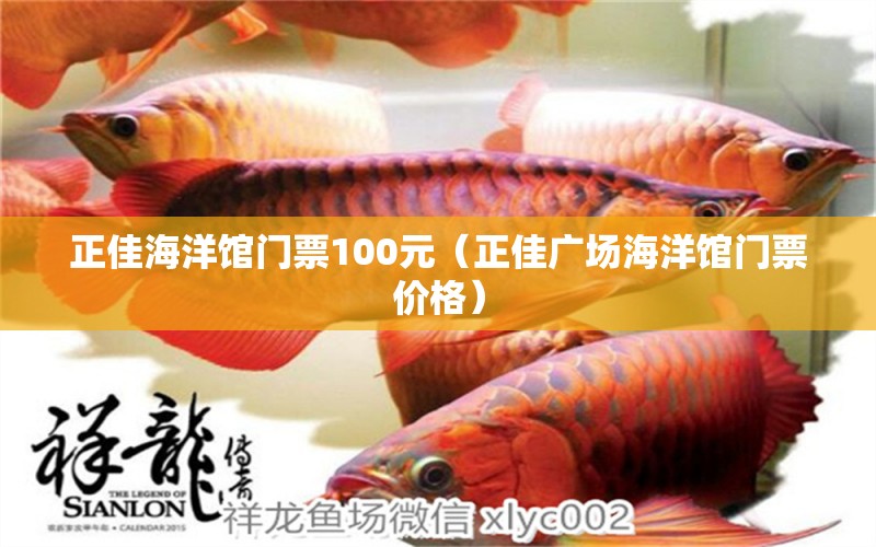 正佳海洋館門票100元（正佳廣場(chǎng)海洋館門票價(jià)格）