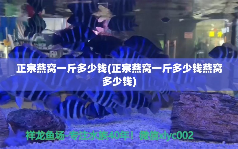 正宗燕窩一斤多少錢(正宗燕窩一斤多少錢燕窩多少錢) 馬來西亞燕窩 第1張