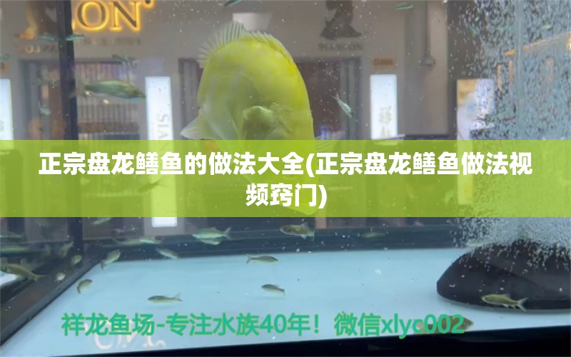 正宗盤龍鱔魚的做法大全(正宗盤龍鱔魚做法視頻竅門) 觀賞魚魚苗