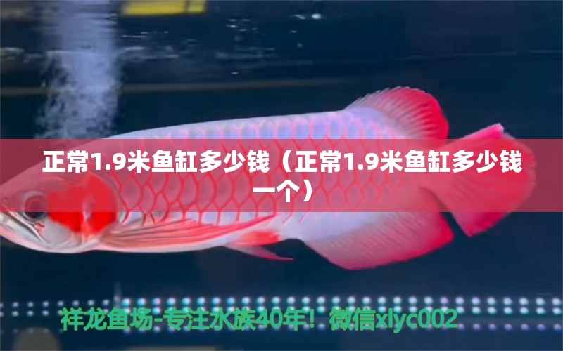 正常1.9米魚缸多少錢（正常1.9米魚缸多少錢一個(gè)）