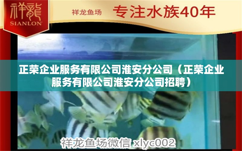 正榮企業(yè)服務(wù)有限公司淮安分公司（正榮企業(yè)服務(wù)有限公司淮安分公司招聘）