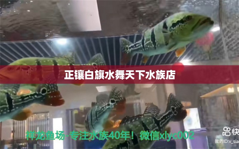 正鑲白旗水舞天下水族店