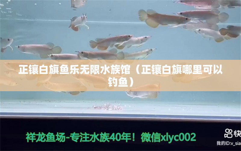 正鑲白旗魚樂無限水族館（正鑲白旗哪里可以釣魚） 垂釣樂園