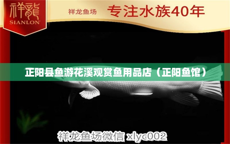 正陽(yáng)縣魚游花溪觀賞魚用品店（正陽(yáng)魚館）