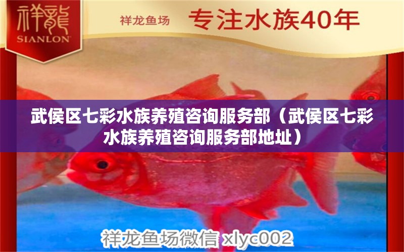 武侯區(qū)七彩水族養(yǎng)殖咨詢服務(wù)部（武侯區(qū)七彩水族養(yǎng)殖咨詢服務(wù)部地址）