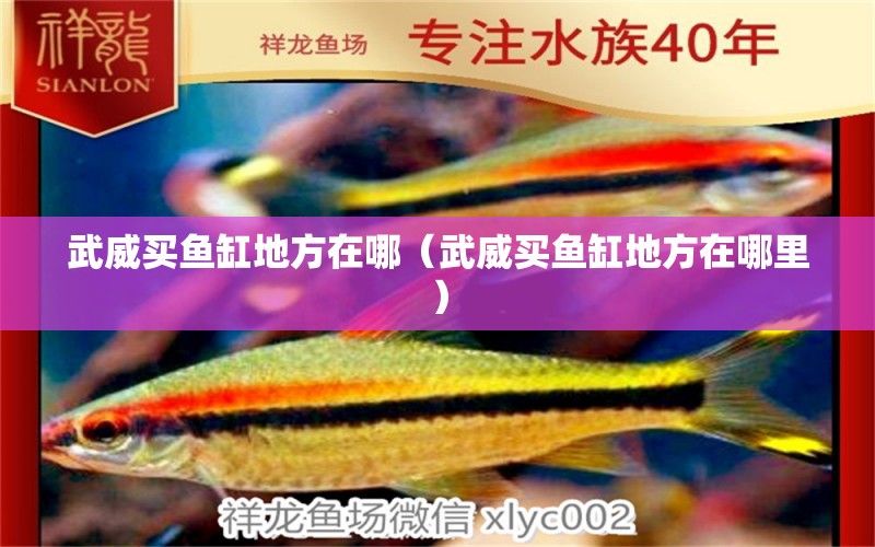 武威買魚缸地方在哪（武威買魚缸地方在哪里）