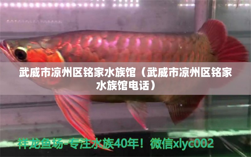 武威市涼州區(qū)銘家水族館（武威市涼州區(qū)銘家水族館電話）