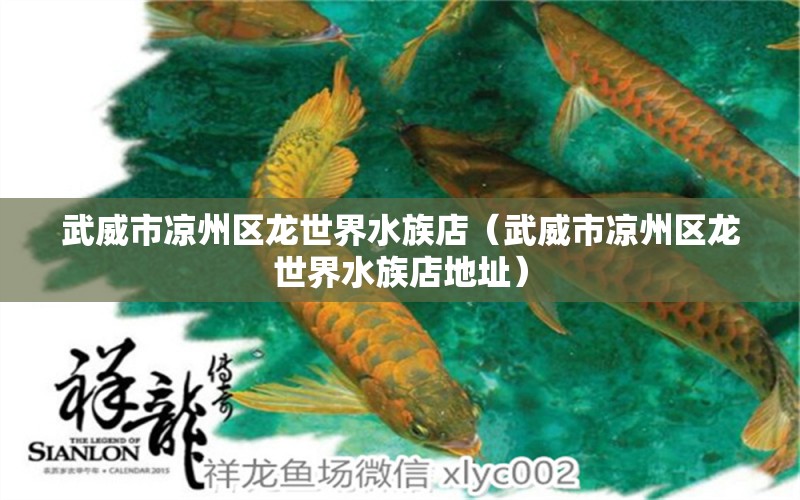 武威市涼州區(qū)龍世界水族店（武威市涼州區(qū)龍世界水族店地址） 全國水族館企業(yè)名錄